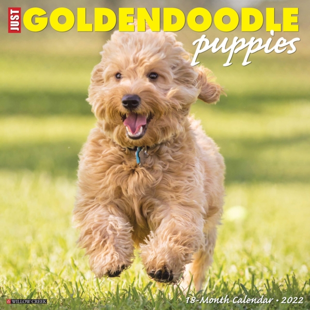 Just Goldendoodle Puppies 2022 Wall Calendar (Dog Breed), Calendar Book