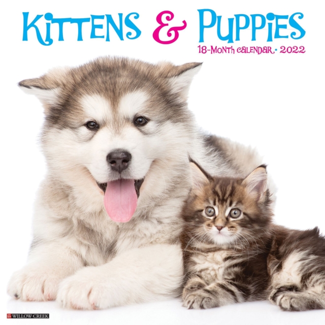 Kittens & Puppies 2022 Wall Calendar, Calendar Book