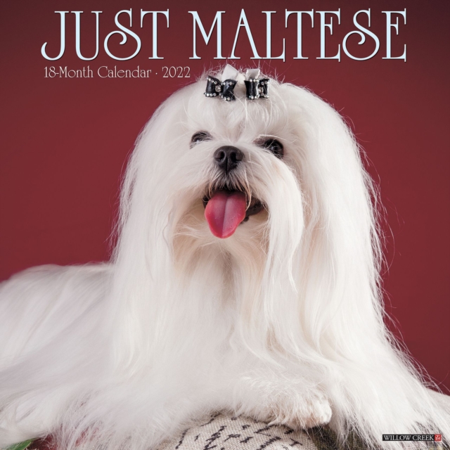 Just Maltese 2022 Wall Calendar (Dog Breed), Calendar Book