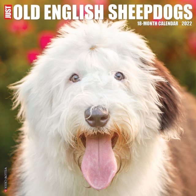 Just Old English Sheepdogs 2022 Wall Calendar (Dog Breed), Calendar Book