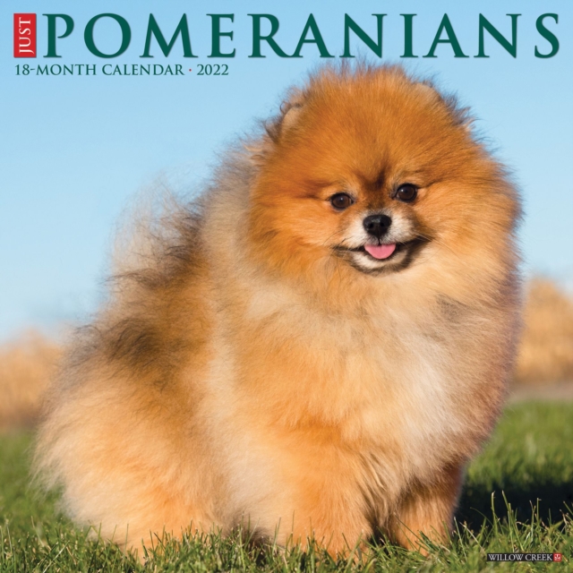 Just Pomeranians 2022 Wall Calendar (Dog Breed), Calendar Book
