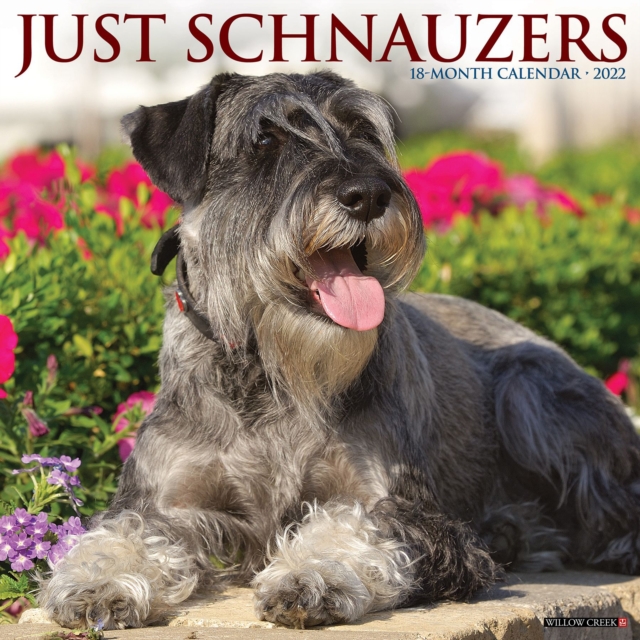 Just Schnauzers 2022 Wall Calendar (Dog Breed), Calendar Book