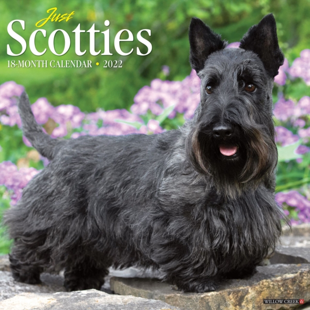 Just Scotties 2022 Wall Calendar (Dog Breed), Calendar Book