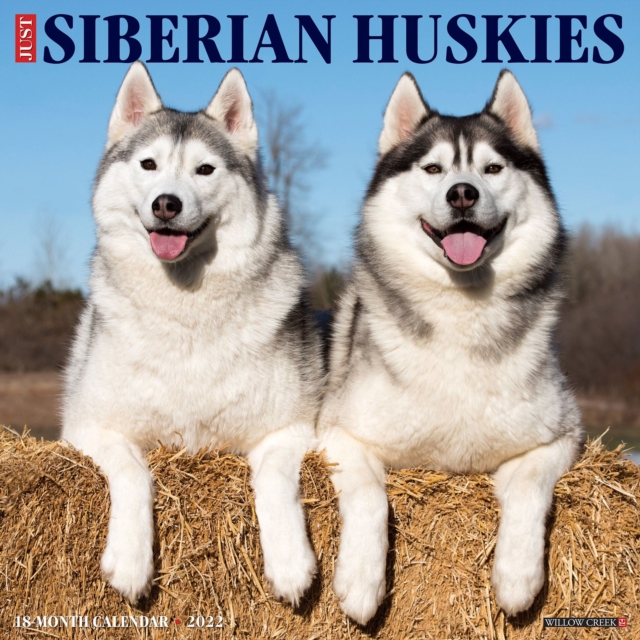 Just Siberian Huskies 2022 Wall Calendar (Dog Breed), Calendar Book