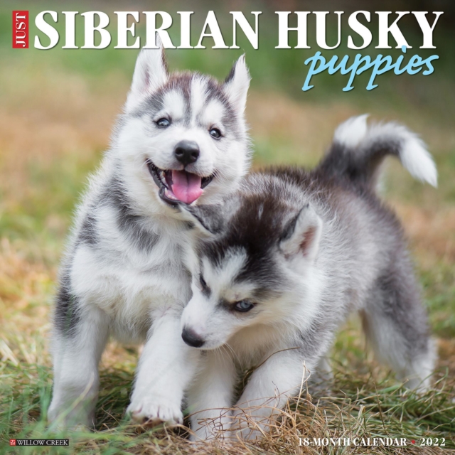 Just Siberian Husky Puppies 2022 Wall Calendar (Dog Breed), Calendar Book