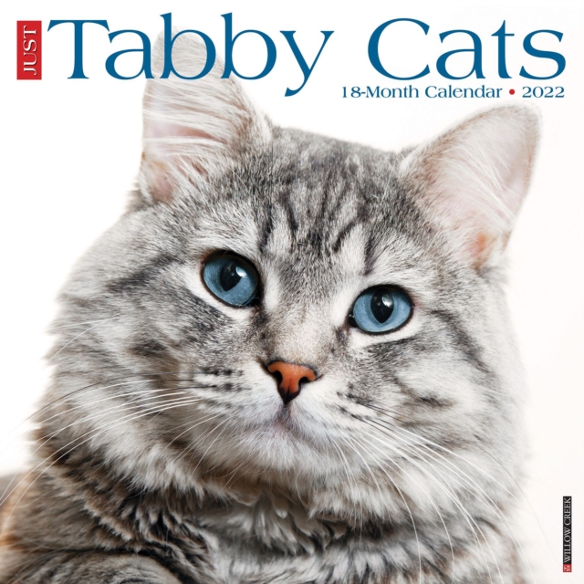 Just Tabby Cats 2022 Wall Calendar (Cat Breed), Calendar Book