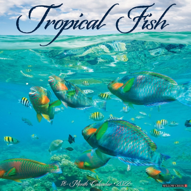 Tropical Fish 2022 Wall Calendar, Calendar Book