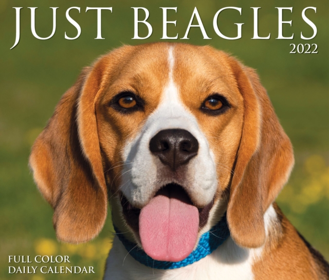 Beagles 2022 Box Calendar - Dog Breed Daily Desktop, Calendar Book