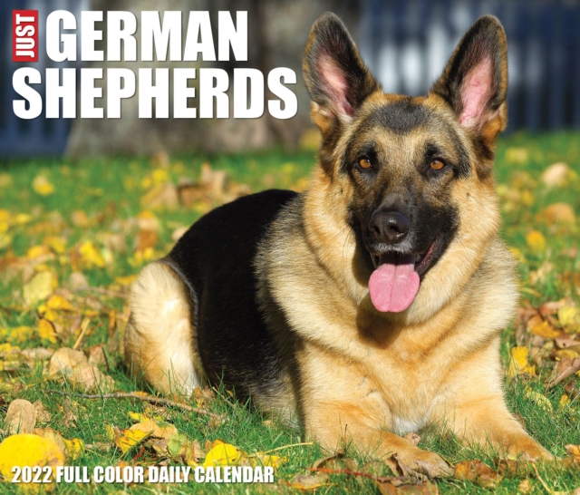 German Shepherds 2022 Box Calendar - Dog Breed Daily Desktop, Calendar Book