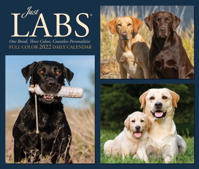 Labs 2022 Box Calendar - Dog, Labrador Retrievers Daily Desktop, Calendar Book