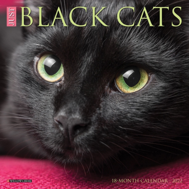 Just Black Cats 2022 Mini Wall Calendar, Calendar Book