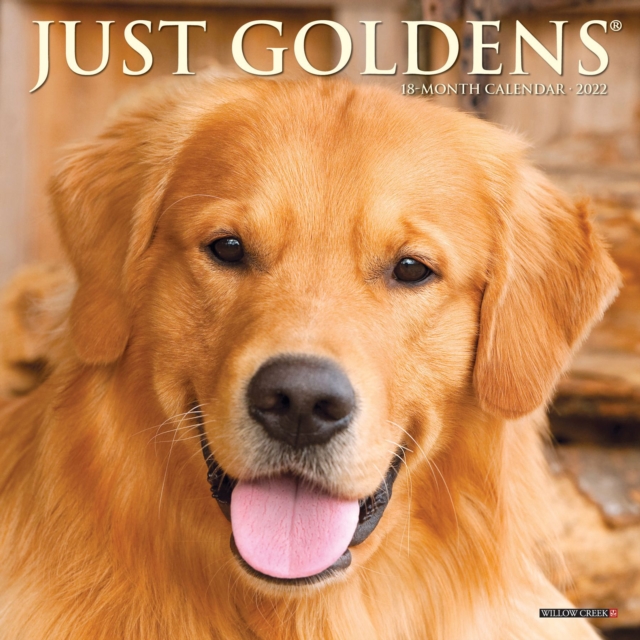 Just Goldens 2022 Mini Wall Calendar - Golden Retriever Dogs and Puppies, Calendar Book
