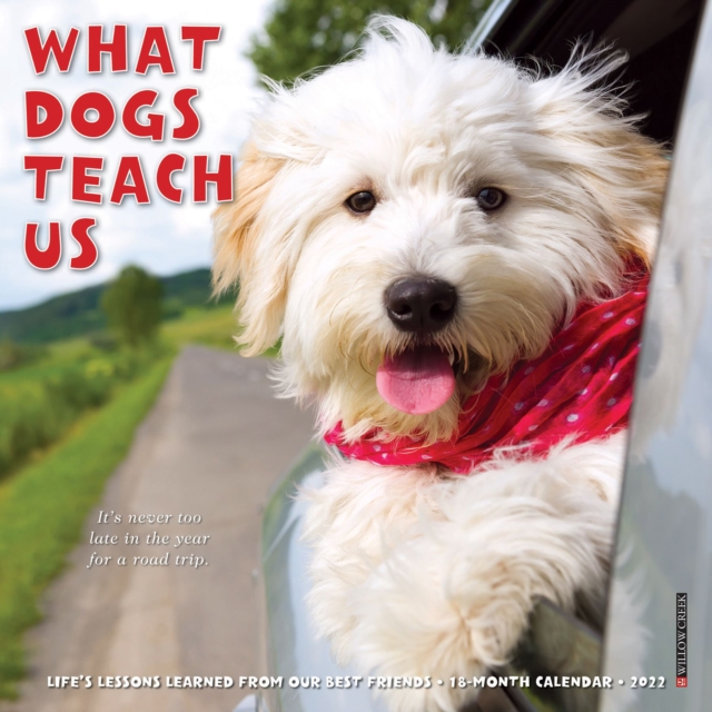What Dogs Teach Us 2022 Mini Wall Calendar, Calendar Book