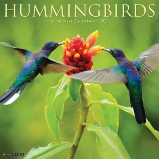 Hummingbirds 2023 Wall Calendar, Calendar Book