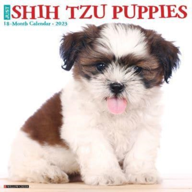 Just Shih Tzu Puppies 2023 Wall Calendar, Calendar Book