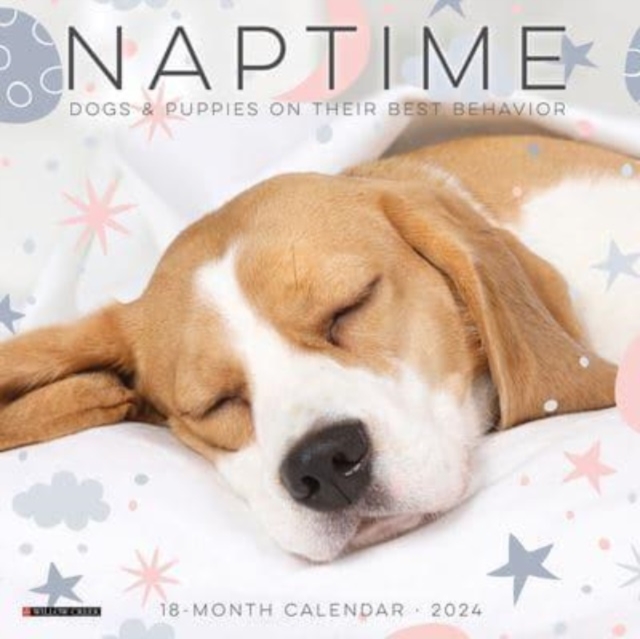 Naptime (Dogs) 2024 7 X 7 Mini Wall Calendar, Calendar Book
