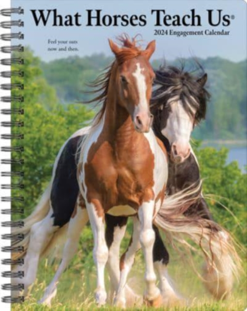 What Horses Teach Us 2024 6.5 X 8.5 Engagement Calendar, Calendar Book