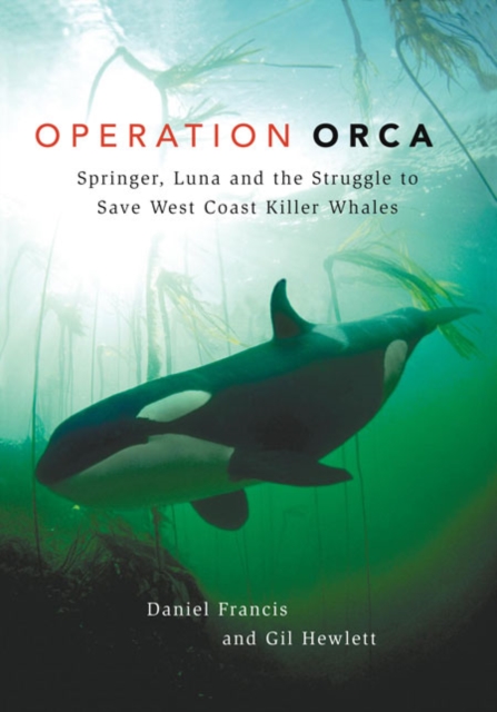 Operation Orca : Springer, Luna and the Struggle to Save West Coast Killer Whales, Paperback / softback Book