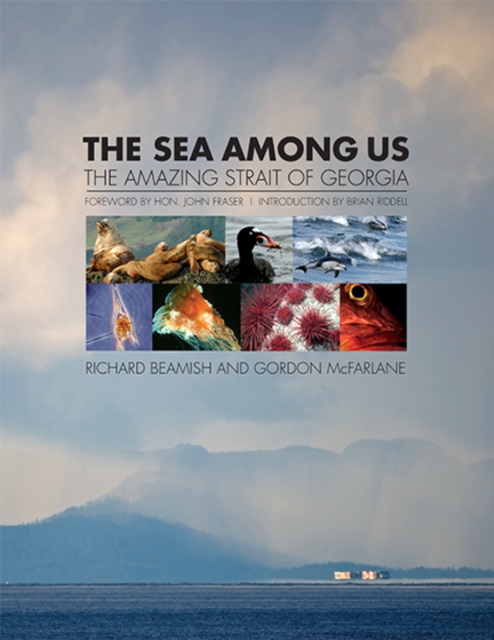 Sea Among Us : The Strait of Georgia, Hardback Book