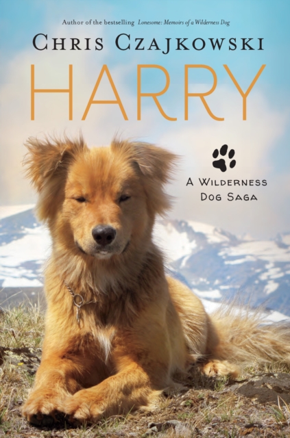 Harry : A Wilderness Dog Saga, Paperback / softback Book