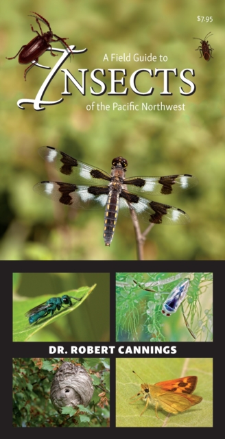 A Field Guide to Insects of the Pacific Northwest, Pamphlet Book