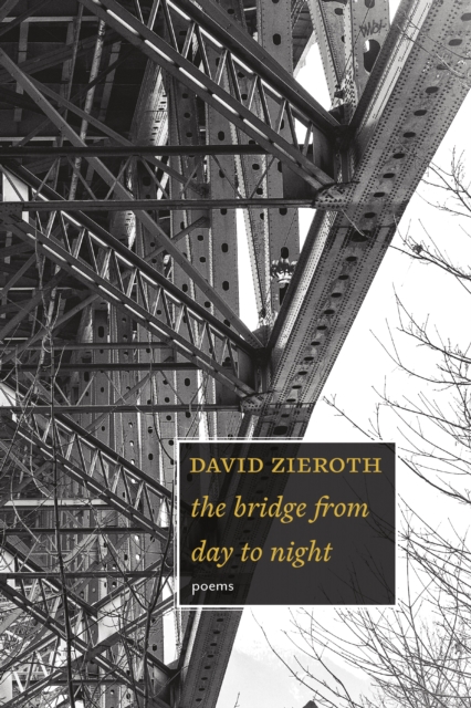 the bridge from day to night, Paperback / softback Book