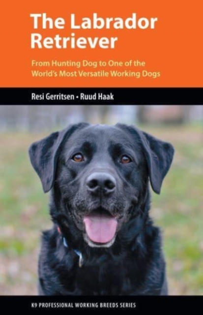 The Labrador Retriever : From Hunting Dog to One of the World's Most Versatile Working Dogs, Paperback / softback Book