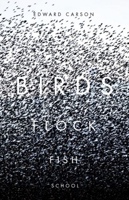 Birds Flock Fish School, Paperback / softback Book