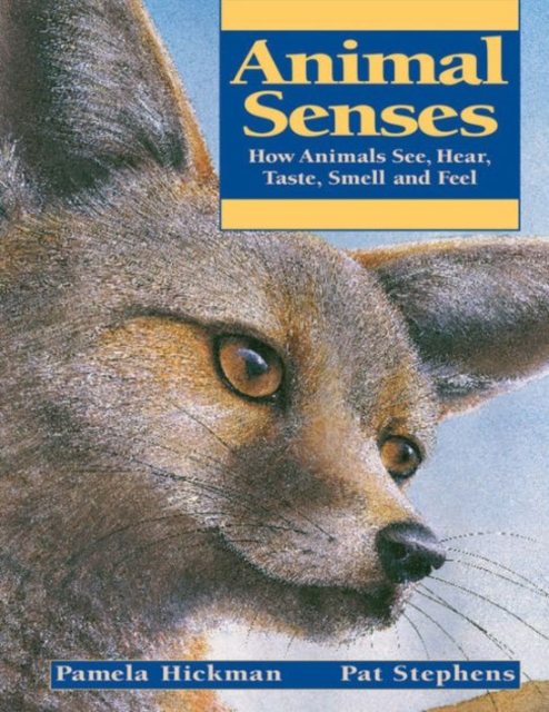 Animal Senses, Paperback Book