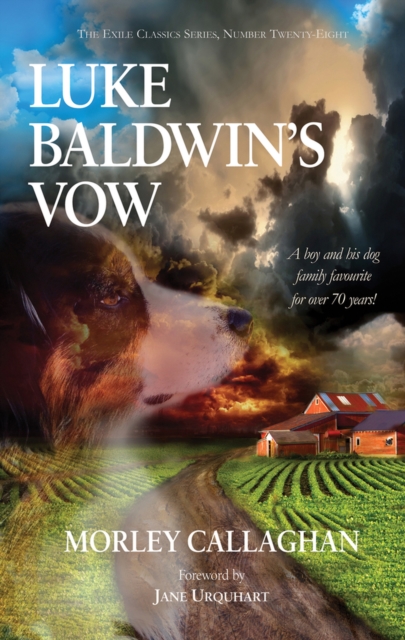 Luke Baldwin's Vow, Paperback / softback Book