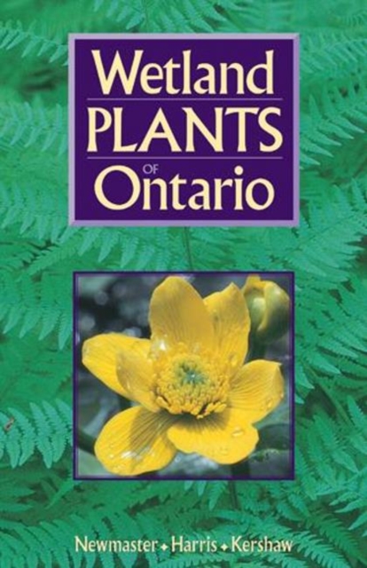 Wetland Plants of Ontario, Paperback / softback Book
