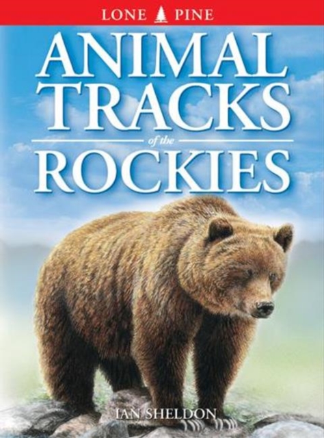 Animal Tracks of the Rockies, Paperback / softback Book