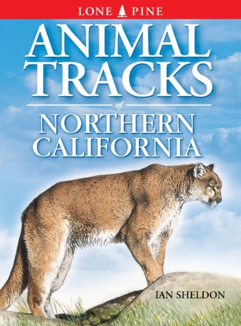 Animal Tracks of Northern California, Paperback / softback Book