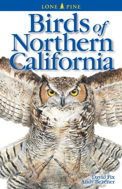 Birds of Northern California, Paperback / softback Book
