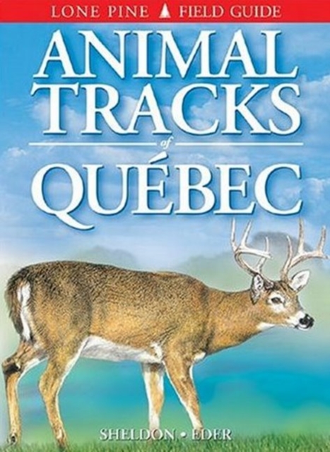 Animal Tracks of Quebec, Paperback / softback Book