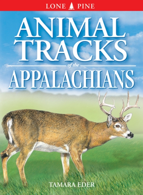 Animal Tracks of the Appalachians, Paperback / softback Book