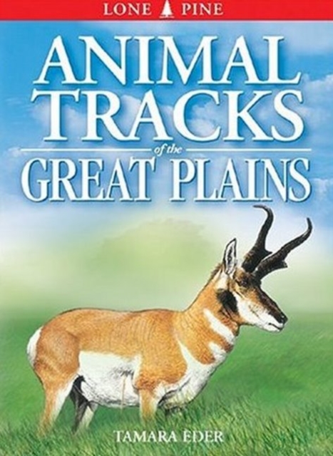 Animal Tracks of the Great Plains, Paperback / softback Book