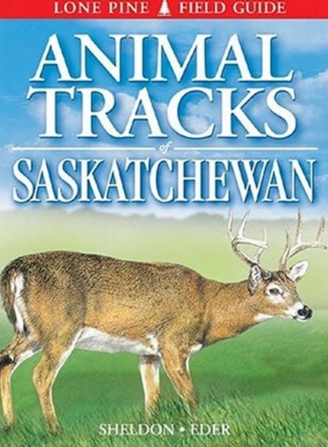 Animal Tracks of Saskatchewan, Paperback / softback Book