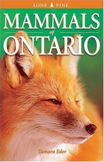 Mammals of Ontario, Paperback / softback Book