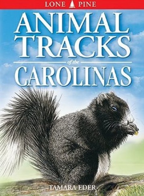 Animal Tracks of the Carolinas, Paperback / softback Book