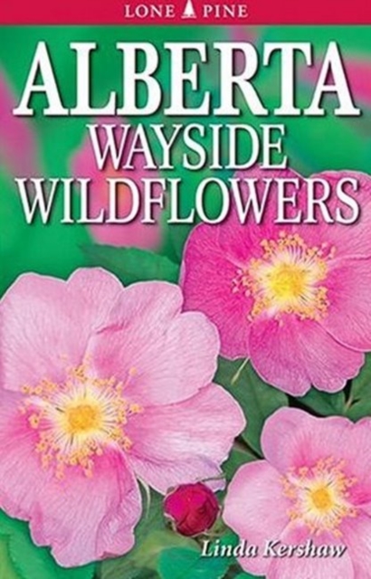 Alberta Wayside Wildflowers, Paperback / softback Book