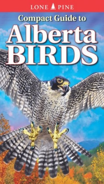 Compact Guide to Alberta Birds, Paperback / softback Book