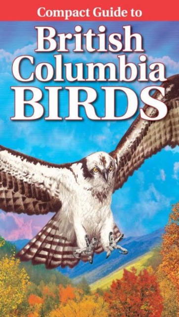 Compact Guide to British Columbia Birds, Paperback / softback Book