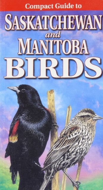 Compact Guide to Saskatchewan and Manitoba Birds, Paperback / softback Book