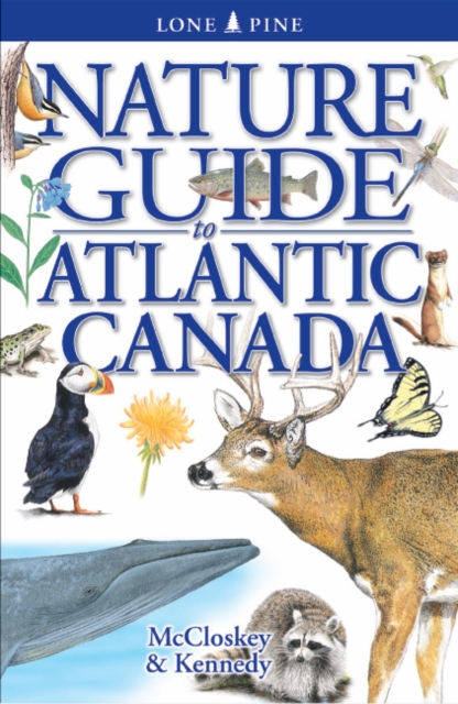 Nature Guide to Atlantic Canada, Paperback / softback Book