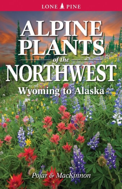Alpine Plants of the Northwest : Wyoming to Alaska, Paperback / softback Book