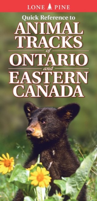 Quick Reference to Animal Tracks of Ontario and Eastern Canada, Fold-out book or chart Book
