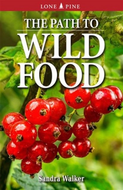 Path to Wild Food, The, Paperback / softback Book