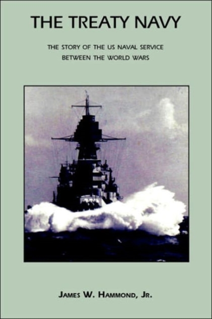 The Treaty Navy : The Story of the US Naval Service Between the World Wars, Paperback / softback Book