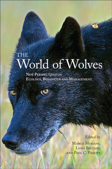 The World of Wolves : New Perspectives on Ecology, Behaviour, and Management, Paperback / softback Book